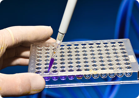 Another Global First! SGT003 Bispecific Antibody from Sungen Biomedical’s NexTreg™ Platform Accepted for IND by NMPA