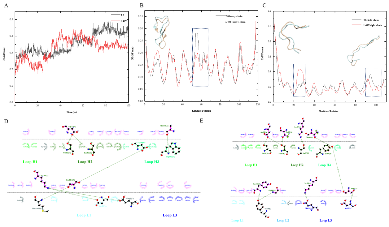 Dynamic simulation and force analysis graphs.