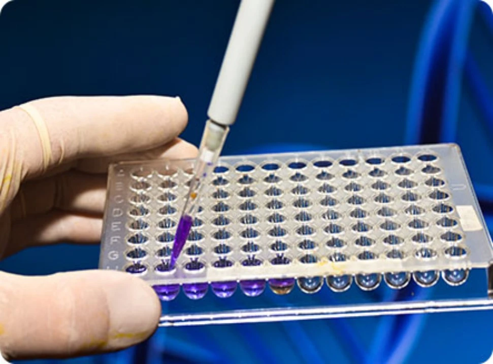 Biopharmaceutical CMC Process