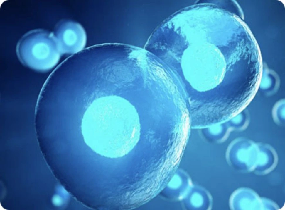 The Classic Formulation of Antibody Drugs