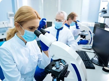 Differences Between Biological Macromolecule Drugs and Chemical Small Molecule Drugs